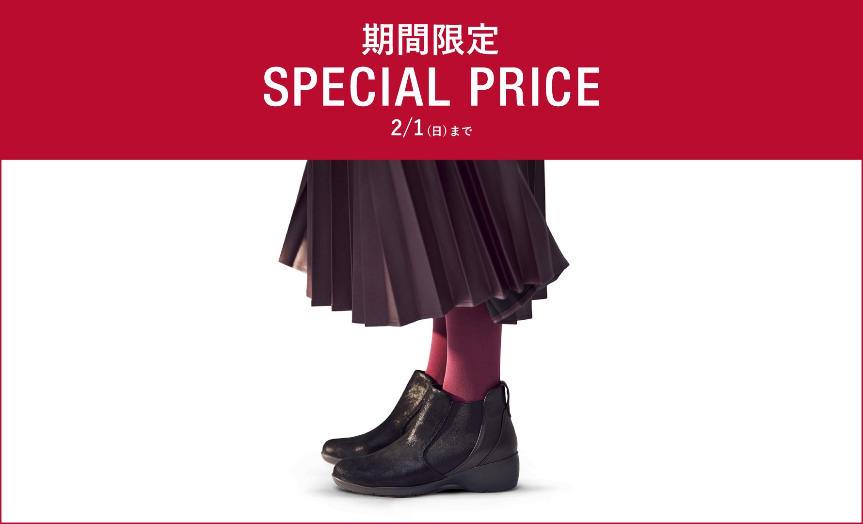 期間限定スペシャルプライス 2/1まで