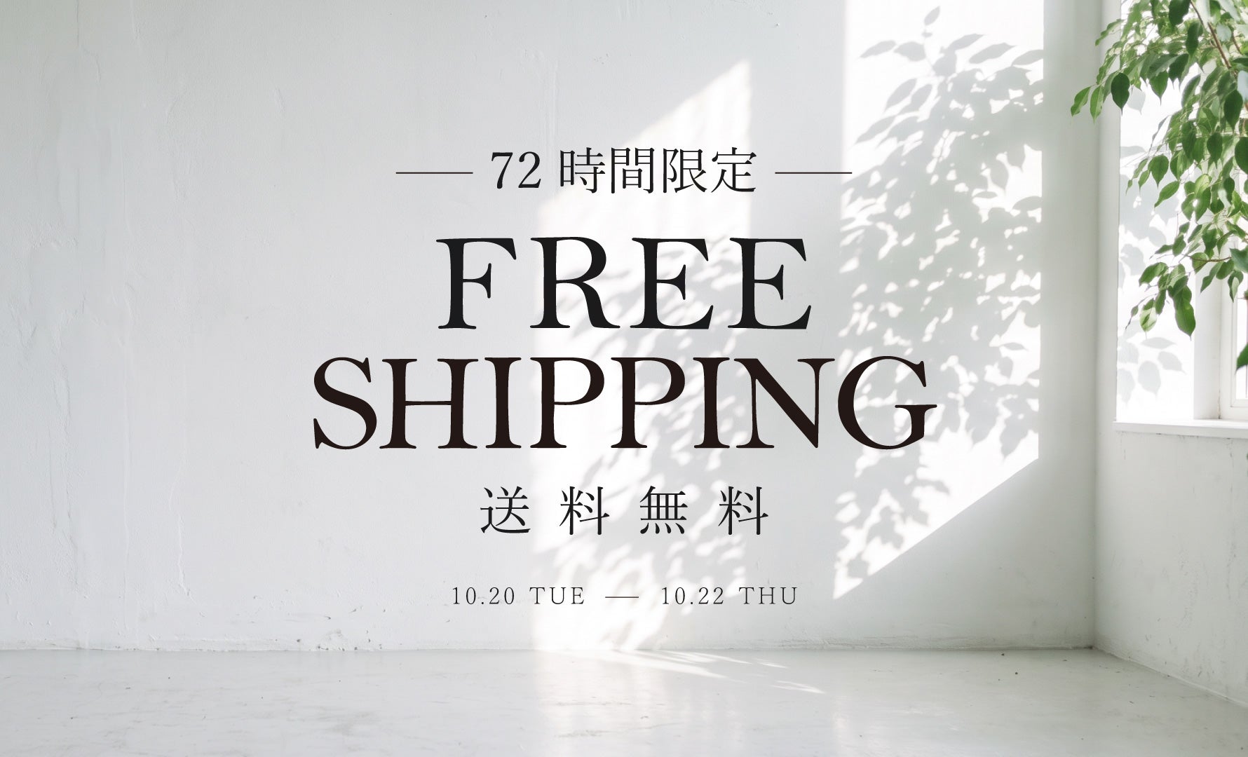 72時間限定！送料無料クーポン