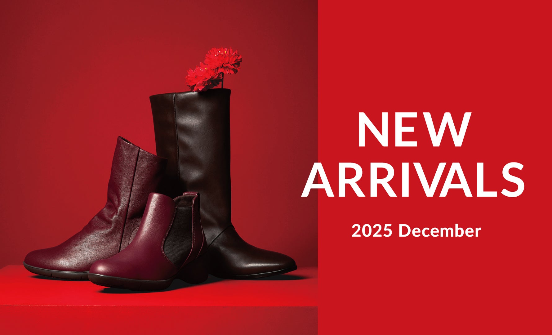 NEW ARRIVALS Decmber 2025
