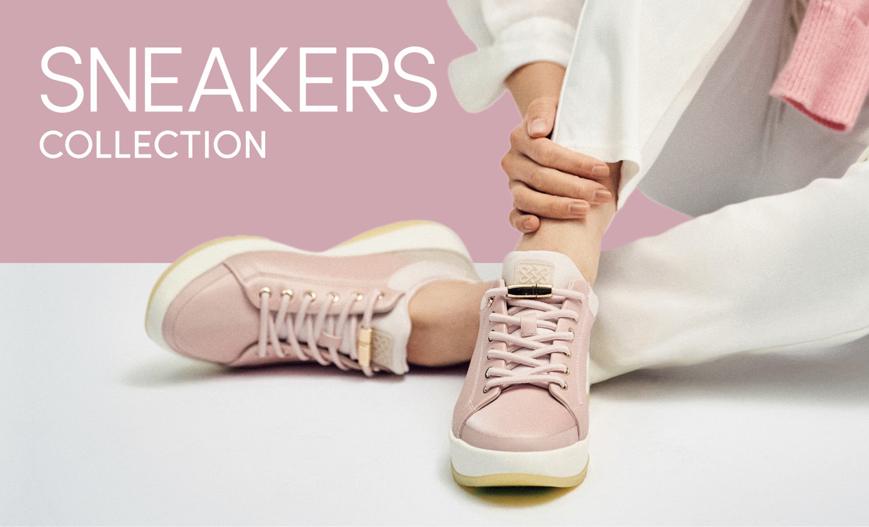 スニーカーCollection