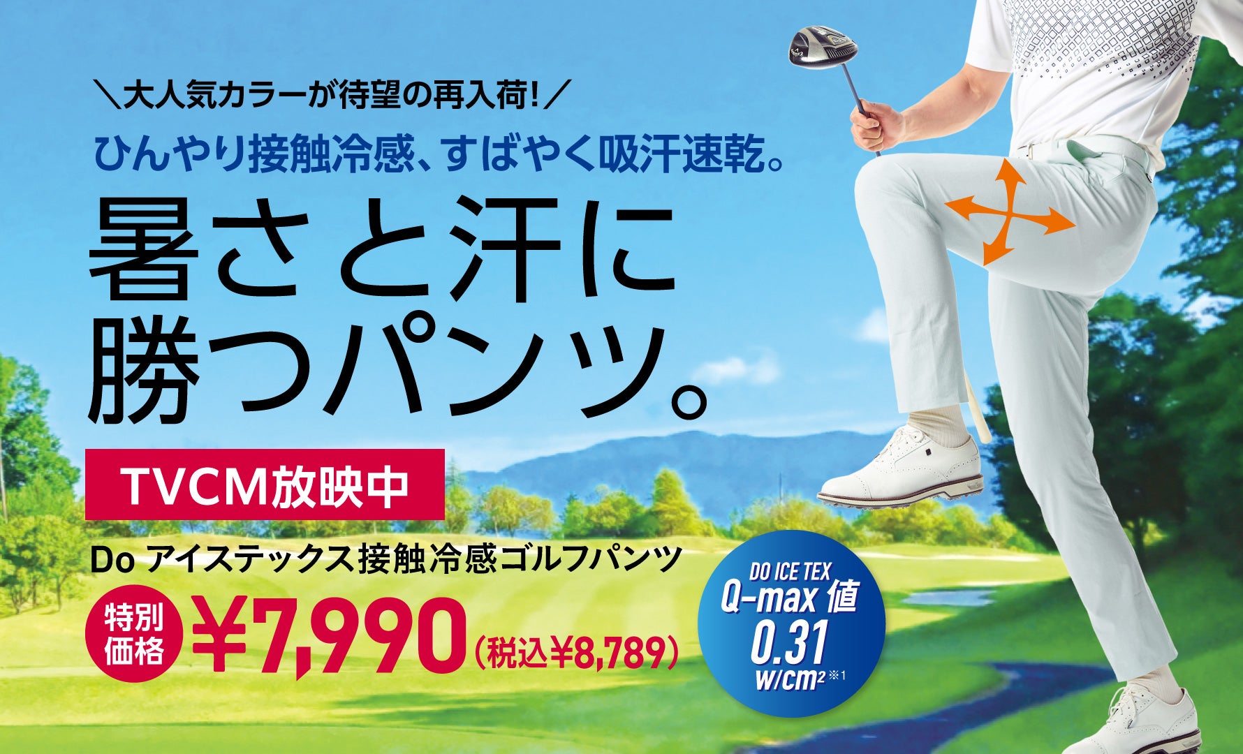 アイステックスゴルフ特別価格