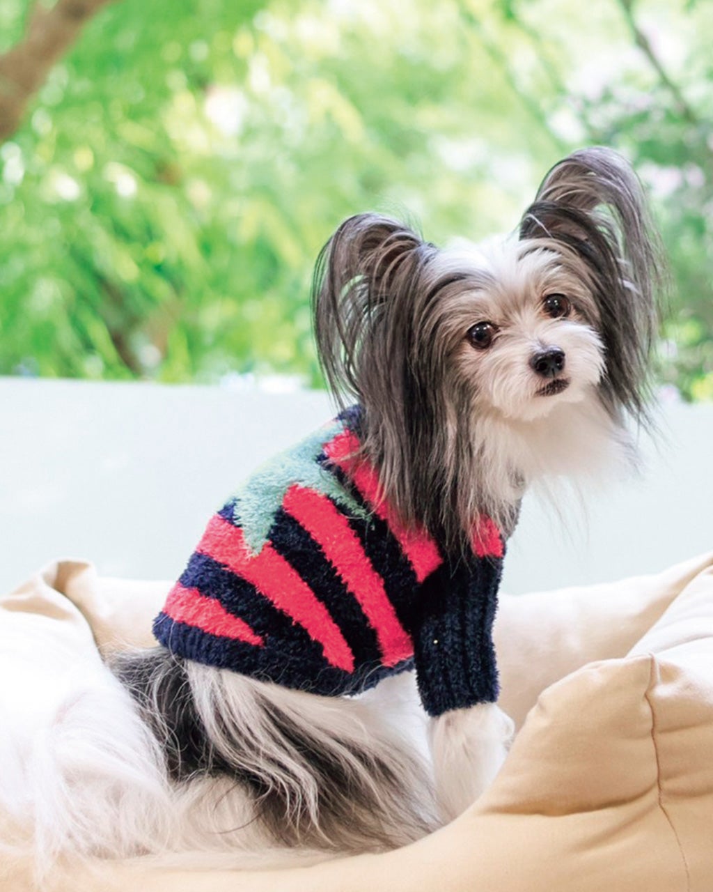 犬の服 春夏 ひんやり クール メッシュ 接触冷感 虫よけ