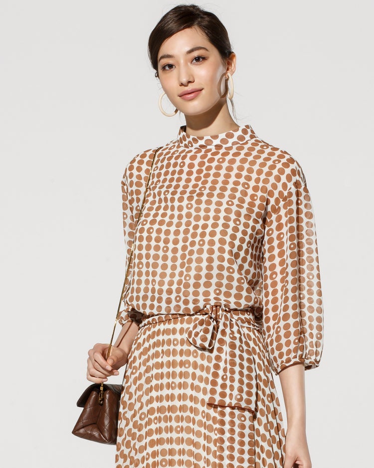 シフォンプリント・スタンドブラウス 詳細画像 ブラウン 1