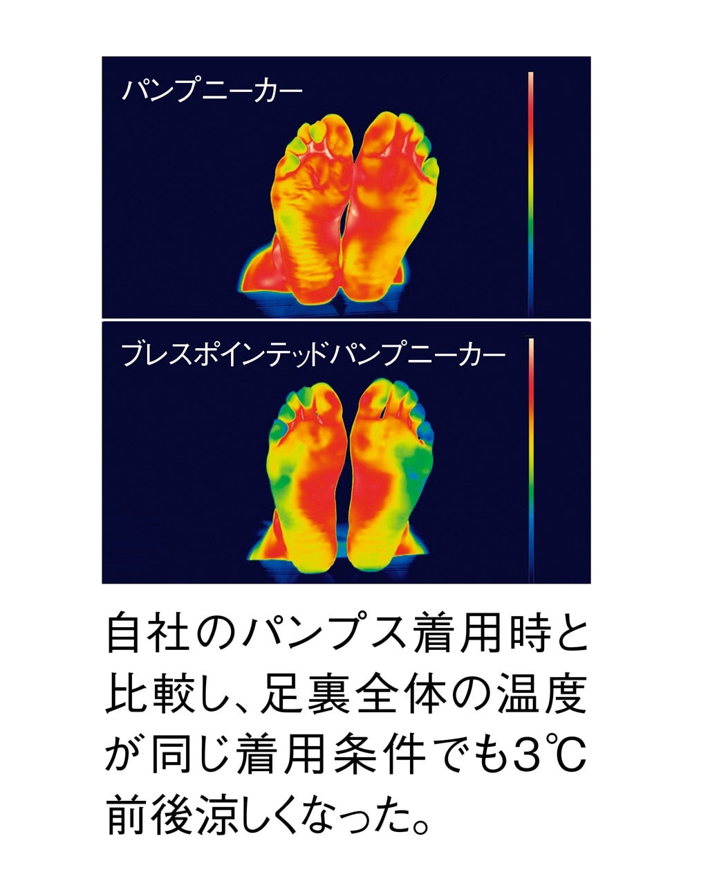 ブレスカットワークパンプニーカー/40代50代からのレディース