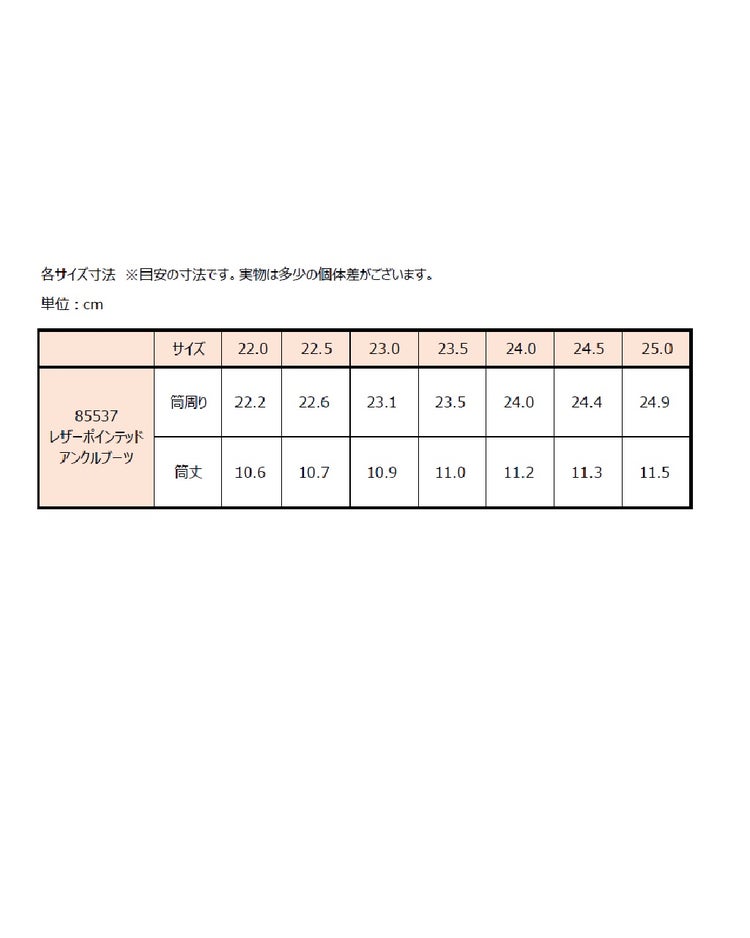 レザーポインテッドアンクルブーツ 詳細画像 ブラック 9