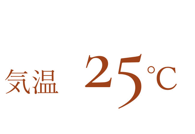 気温25℃