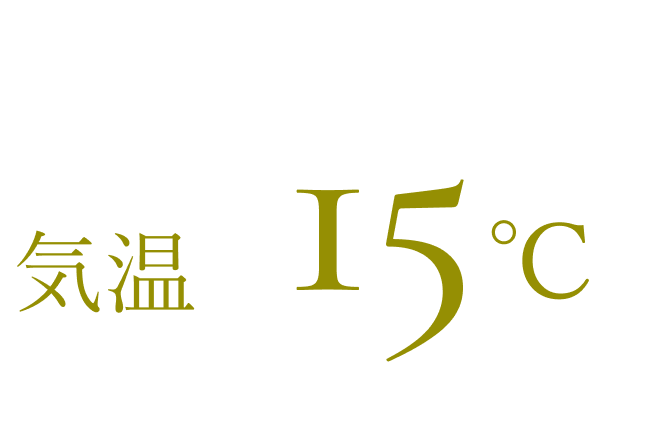 気温15℃