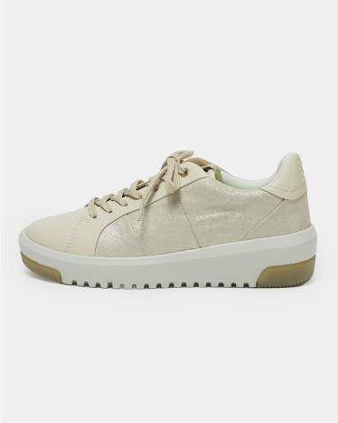 Gold x Beige