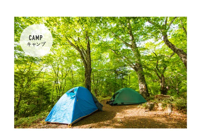 CAMP キャンプ | 40代・50代大人のレディースファッション通販 DoCLASSE